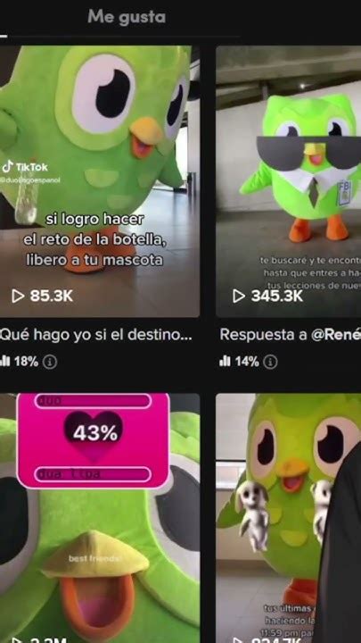 Los mejores MEMES de Duolingo .